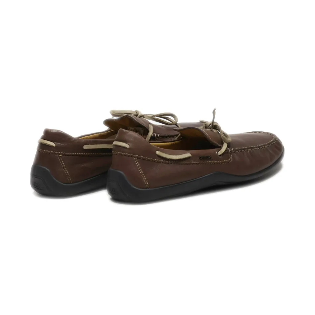 Geox Loafers Leather Brown Colour For Men